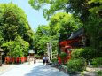 新緑の八坂神社
