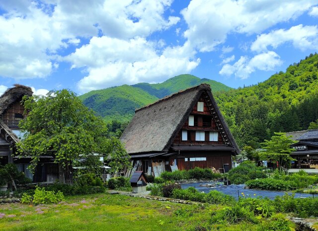 新緑の白川郷