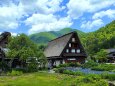 新緑の白川郷