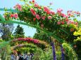 バラのアーチ