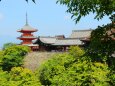 新緑の清水寺