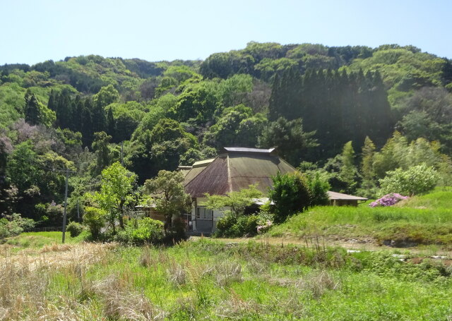 新緑の遠い古里