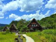 新緑の白川郷