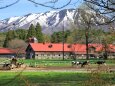 小岩井農場