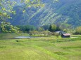 初夏の里山