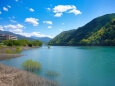 新緑の水辺
