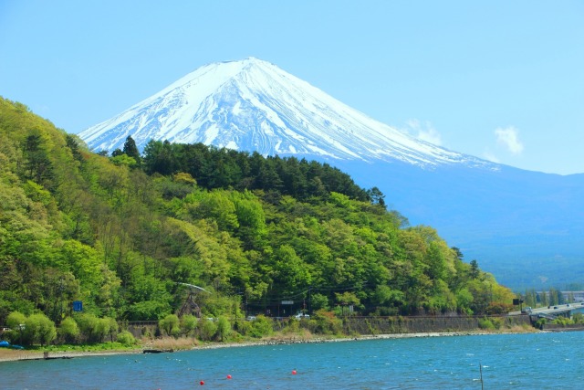 新緑の河口湖