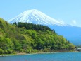 新緑の河口湖