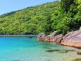 新緑と春の海