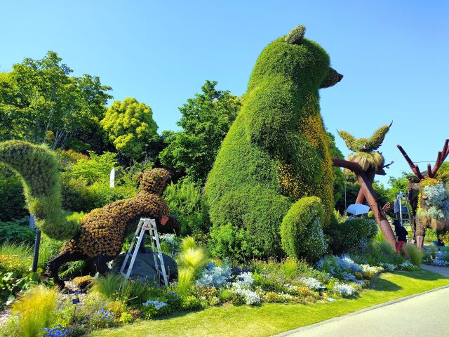 新緑のフラワーパーク