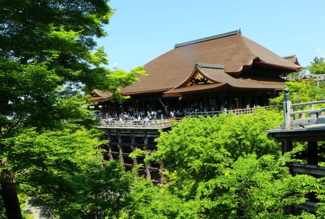 新緑の清水寺
