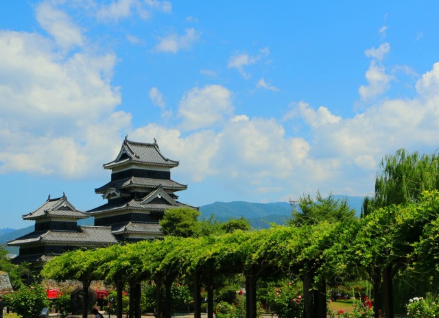 新緑の松本城