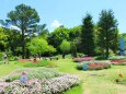 春の公園