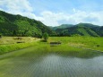 春の里山