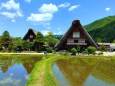 新緑の白川郷