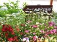 Flower GARDEN