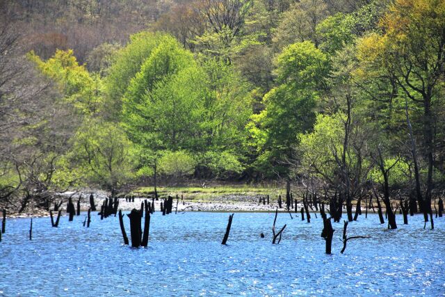 早瀬川足ヶ瀬砂防堰堤