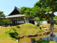 5月の高台寺