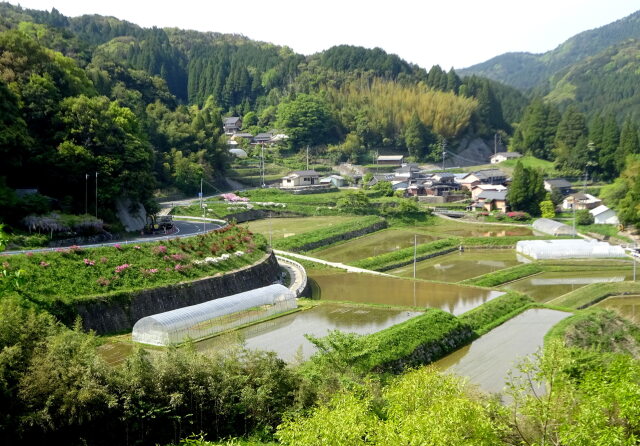 山間集落田植えの季節 初夏へ
