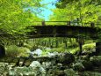 春の大台ケ原