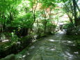 ヤマメ山荘 石だたみの道