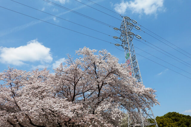 1926年生まれ、戸田線60号鉄塔