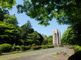シンボル塔(旧噴水塔)―若葉