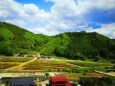 春の里山