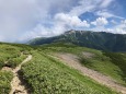 北ノ俣岳稜線
