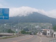 新緑の頃