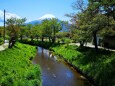 新緑の忍野八海