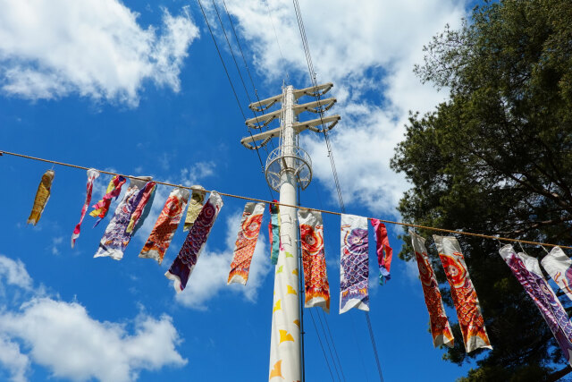 並木線2号―ミニこいのぼり