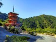 新緑の那智大社