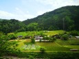 新緑の里山