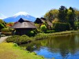 新緑の忍野八海
