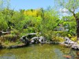春の公園