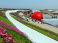 万博会場の花壇
