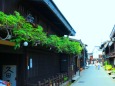 5月の飛騨高山