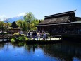 5月の忍野八海