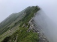 大仙丈ヶ岳への道