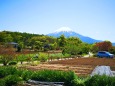 5月の忍野八海