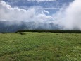 北ノ俣岳お花畑
