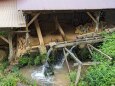 小鹿田焼の里