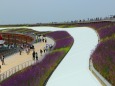 万博会場の花壇