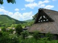新緑の白川郷