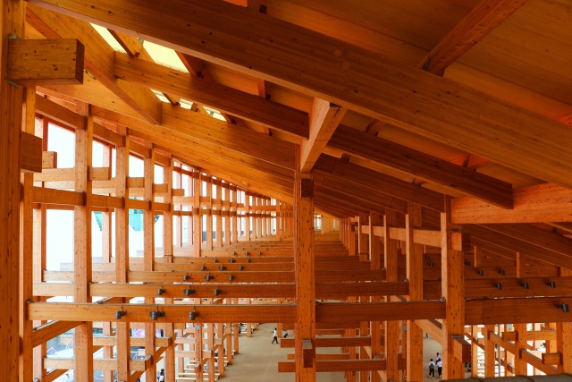 万博木の大屋根リング