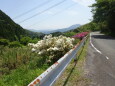 山国日本 山間集落をたどる道