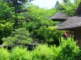 新緑の京都