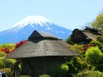5月の忍野八海