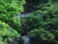 紅葉山公園